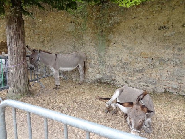 fete ane 2018 (26).JPG